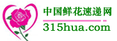 北京送花网