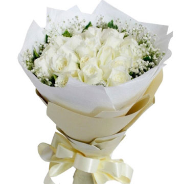白色玫瑰代表什么,白玫瑰的花语是什么？