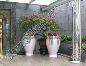植物租摆方案图片七